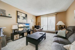 Photo 12: 28 3440 23 Avenue S: Lethbridge Apartment for sale : MLS®# A2118136