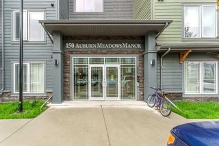 Photo 3: 308 150 Auburn Meadows Manor SE in Calgary: Auburn Bay Apartment for sale : MLS®# A2132096