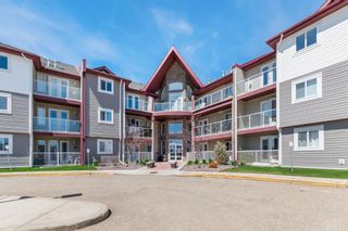 Main Photo: 217 260 Duston Street: Red Deer Apartment for sale : MLS®# A2131331
