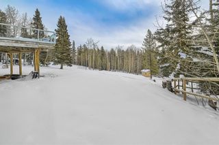 Photo 9: 231192 Forestry Way: Bragg Creek Detached for sale : MLS®# A2027740