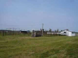 Photo 24: 48428 RR 32: Rural Leduc County House for sale : MLS®# E4271943