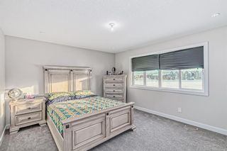 Photo 23: 245 Sage Meadows Park NW in Calgary: Sage Hill Detached for sale : MLS®# A2026452
