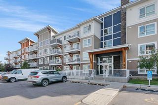 Main Photo: 6409 302 Skyview Ranch Drive NE in Calgary: Skyview Ranch Apartment for sale : MLS®# A2078732