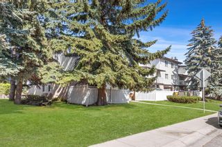 Photo 3: 2 3705 Fonda Way SE in Calgary: Forest Heights Row/Townhouse for sale : MLS®# A1256396