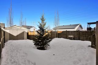 Photo 27: 107 Vickers Close: Red Deer Detached for sale : MLS®# A2031733