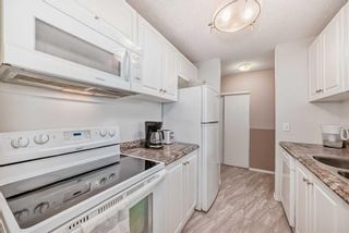 Photo 17: 118 20 Dover Point SE in Calgary: Dover Apartment for sale : MLS®# A2124249