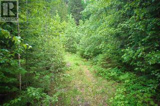 Photo 4: Lot 101 Mount Dale Place in Blind Bay: Vacant Land for sale : MLS®# 10310091