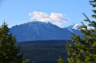 Photo 5: Lot 14 - 7078 WHITE TAIL LANE in Radium Hot Springs: Vacant Land for sale : MLS®# 2466383