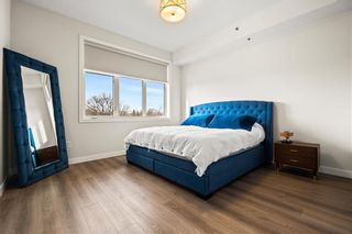 Photo 20: 402 227 Stafford Street in Winnipeg: Crescentwood Condominium for sale (1B)  : MLS®# 202331188