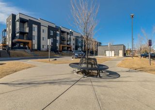 Photo 25: 4106 1317 27 Street SE in Calgary: Albert Park/Radisson Heights Apartment for sale : MLS®# A2049354