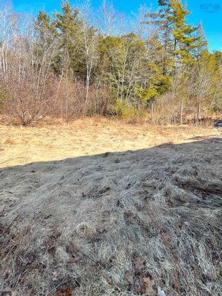 Photo 15: 86 Ohio Road in Shelburne: 407-Shelburne County Residential for sale (South Shore)  : MLS®# 202204333