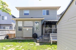 Photo 35: 109 Brightonwoods Crescent SE in Calgary: New Brighton Detached for sale : MLS®# A2139524