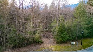 Photo 12: 140 COUNTRY CLUB Road: Furry Creek Land for sale (West Vancouver)  : MLS®# R2851415
