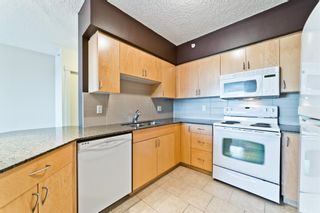 Photo 11: 517 8710 Horton Road SW in Calgary: Haysboro Apartment for sale : MLS®# A1176470