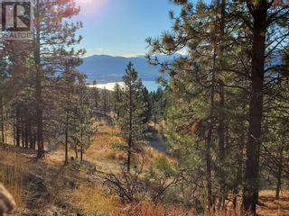Photo 10: 1205 SPILLER Road in Penticton: Vacant Land for sale : MLS®# 10302477