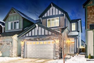 Photo 17: 142 SKYVIEW POINT CR NE in Calgary: Skyview Ranch House for sale : MLS®# C4226415