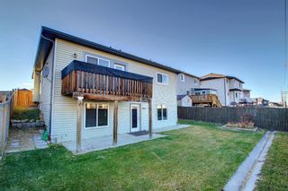 Photo 41: 58 Canals Circle SW: Airdrie Detached for sale : MLS®# A1158303