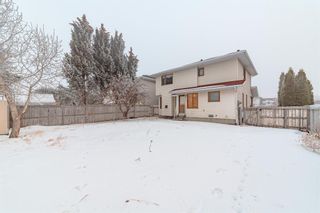 Photo 32: 44 Applewood Court SE in Calgary: Applewood Park Detached for sale : MLS®# A2053043