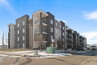 Photo 3: 404 7130 80 Avenue NE in Calgary: Saddle Ridge Apartment for sale : MLS®# A2111706