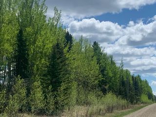 Photo 19: NW-3-45-7-W5   West of Cowboy Trail Hwy #22 in Rural Wetaskiwin No. 10, County of: Rural Wetaskiwin County Residential Land for sale : MLS®# A1230343