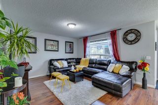 Photo 5: 144 West Creek Pond: Chestermere Detached for sale : MLS®# A1255069