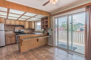 Photo 8: 36 Templeson Road NE in Calgary: Temple Detached for sale : MLS®# A2050364