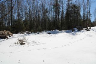 Photo 21: Lot Butler Road in Murphy Lake: Kings County Vacant Land for sale (Annapolis Valley)  : MLS®# 202304459