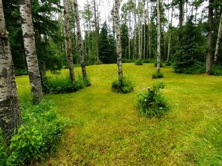 Photo 33: 19 Raven Ridge Road: Rural Clearwater County Detached for sale : MLS®# A1227442