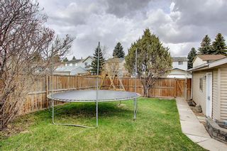 Photo 30: 80 Erin Grove Close SE in Calgary: Erin Woods Detached for sale : MLS®# A1107308