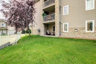 Photo 18: 2109 2600 66 Street NE in Calgary: Pineridge Apartment for sale : MLS®# A1142576
