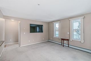 Photo 12: 246 165 Manora Place NE in Calgary: Marlborough Park Apartment for sale : MLS®# A2021263