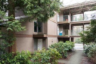 Photo 1: 301 9132 CAPELLA Drive in Burnaby: Simon Fraser Hills Condo for sale in "Mountainwoods" (Burnaby North)  : MLS®# R2149889