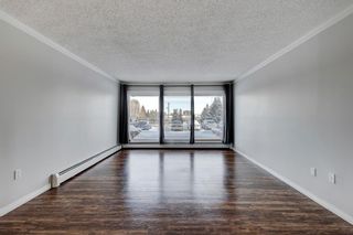 Photo 4: 117 816 89 Avenue SW in Calgary: Haysboro Apartment for sale : MLS®# A2022209