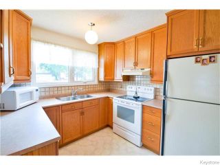 Photo 7: 246 Hazelwood Avenue in Winnipeg: Meadowood Residential for sale (2E)  : MLS®# 1623489