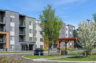 Main Photo: 1208 1317 27 Street SE in Calgary: Albert Park/Radisson Heights Apartment for sale : MLS®# A2133936