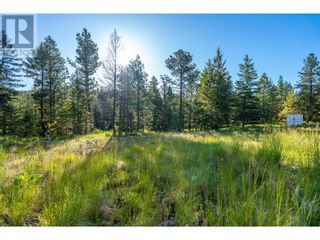 Photo 9: 375 Grizzly Place in Osoyoos: Vacant Land for sale : MLS®# 10315660