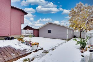 Photo 48: 4 Martingrove Mews NE in Calgary: Martindale Detached for sale : MLS®# A2013278