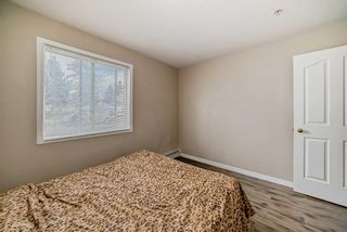 Photo 25: 2108 6224 17 Avenue SE in Calgary: Red Carpet Apartment for sale : MLS®# A2134135