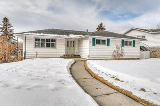 Photo 1: 91 Cumberland Drive NW in Calgary: Cambrian Heights Detached for sale : MLS®# A2020911