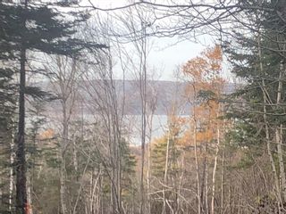 Photo 5: Lot Highway 101 in Smiths Cove: Digby County Vacant Land for sale (Annapolis Valley)  : MLS®# 202303566