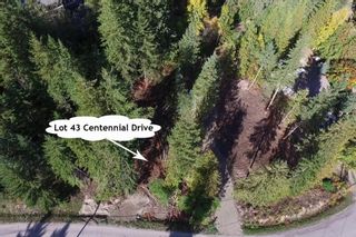 Photo 6: Lot 43 Centennial Drive in Blind Bay: Land Only for sale : MLS®# 10241144