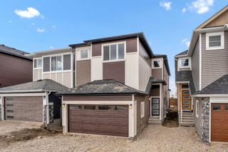 Photo 2: 32 Homestead Manor NE in Calgary: C-686 Detached for sale : MLS®# A2121830