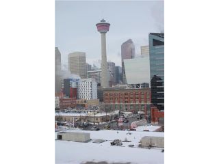 Photo 6: 505 211 13 Avenue SE in : Victoria Park Condo for sale (Calgary)  : MLS®# C3605290