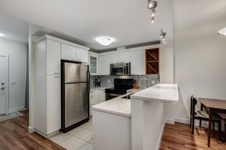 Photo 7: 425 315 24 Avenue SW in Calgary: Mission Apartment for sale : MLS®# A2112126