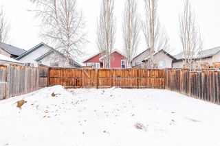 Photo 41: : Red Deer Detached for sale : MLS®# A1173878