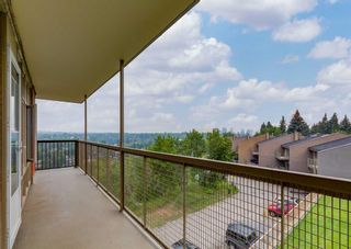 Photo 16: 405 3339 Rideau Place SW in Calgary: Rideau Park Apartment for sale : MLS®# A2065438