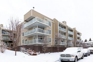 Photo 1: 304 3747 42 Street NW in Calgary: Varsity Apartment for sale : MLS®# A2018225