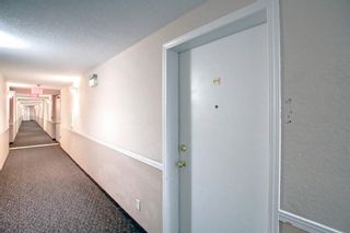 Photo 32: 2311 6224 17 Avenue SE in Calgary: Red Carpet Apartment for sale : MLS®# A1226708