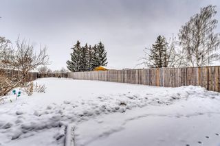 Photo 33: 79 Abalone Way NE in Calgary: Abbeydale Detached for sale : MLS®# A2032204