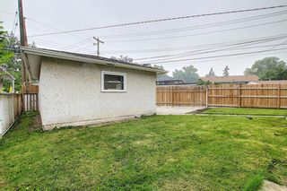 Photo 43: 1936 Matheson Drive NE in Calgary: Mayland Heights Detached for sale : MLS®# A1130969